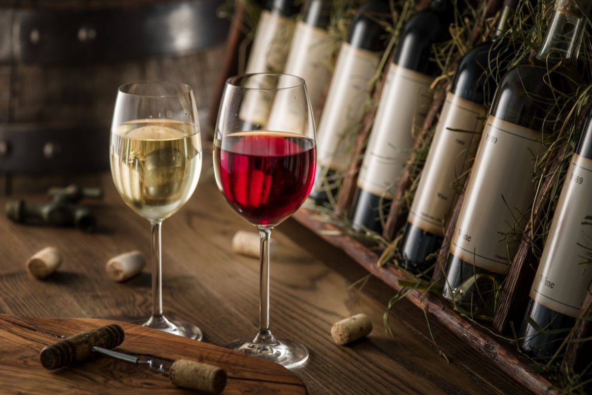 Lee más sobre el artículo Evento Wine Tasting